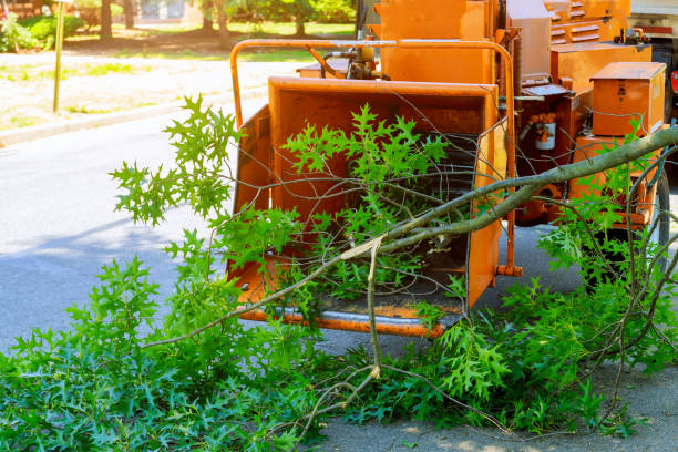 Grass Overseeding in Tipton, CA