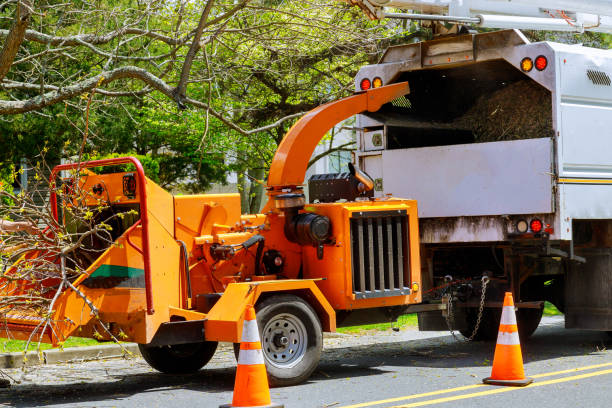 Best Emergency Tree Removal  in Tipton, CA